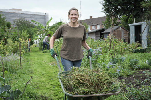 A white woman pushes a wheelbarrow through a community garden