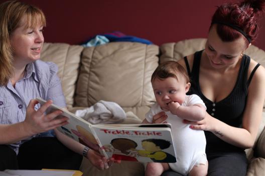 A young toddler reading a children's book