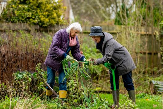 Two women, both wearing rain coats and rain boots are both helping to pull weeds in a community garden. In the image they are surrounded by greenery, the ground looks wet like it has just rained. 