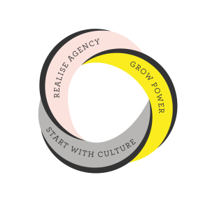 Growing New Systems Framework