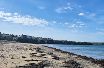 A beach and the sea with some houses along the shoreline in Caithness, Scotland.